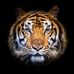 Hershel West - Facebook