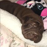 Hershey Johnson - @hershey_johnson_ - Instagram