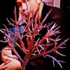 herthaines - @herthaines - TikTok
