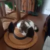 Herve De Clercq - @herve.declercq - TikTok