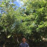 Harvey Martinez - @harvey_martinez - Instagram