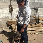 Harvey Martinez - @harvey_686538 - Instagram