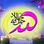 Hesham Afifi - @afifi.hesham2011 - Instagram