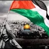 Hesham Ȝassem - @hesham.assem2 - TikTok