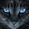 Hesham Assem - @heshamassem936 - TikTok
