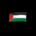 Hesham Taha - @hesham_taha_7 - Instagram