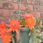 Hester Anderson - @hester.anderson.3 - Instagram