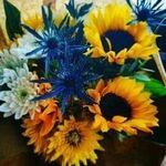 Chase hester - @chasehester5 - Instagram