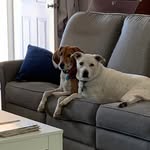 Eleanor Hester Cooper - @ecooper531 - Instagram