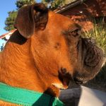 Chester_gonzalez_ - @chester_gonzalez_ - Instagram