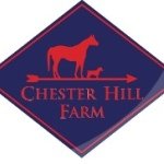 Chester Hill Farm - @chesterhillfarm - Instagram