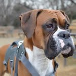 Hester Rice - @texarosfe - Instagram