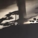 Hester Rice - @hester.rice - Instagram