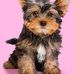 Hester Richardson - Facebook