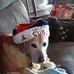 Richard Hesterberg - Facebook