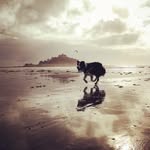 Hester Rogers - @hesterrogers - Instagram