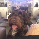 Todd Hester - @toddhester - Instagram
