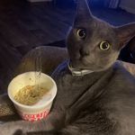 @chester_the_wise - Instagram