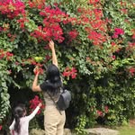 Heta Padhya - @heta.vyas.13 - Instagram