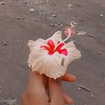 Hetal  gamit - @hetalgamit739 - Instagram