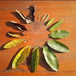 Hetal Gamit - @hetal.gamit.9406 - Instagram