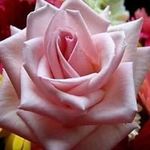 Hetal Thaker - @hetal.thaker.961 - Instagram
