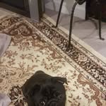 Hettie Johnson - @hettiejohnson68 - Instagram