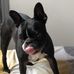 Hetty Davis - Facebook