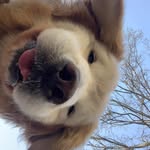 @white_hetty - Instagram