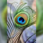 @hetvi_vyas_2013 - Instagram