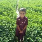 Hevan_ _patel88 - @874hevanpatel - Instagram