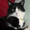 heyKangKang - @ohitskangkang - TikTok