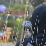 Hiba Abdullah - @hibaabdullah_world - Instagram