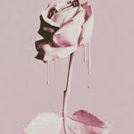 Hiba' Abdullah - @hi.ba4408 - Instagram