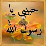@hiba_abdullah_ - Instagram