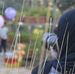 Hiba abdullah photographer - Facebook