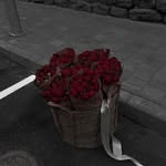 Heba Faried - @hibafareed2 - Instagram