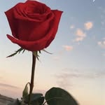 Hiba Fareed - @hiba.fareed.961 - Instagram