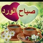 hiba faris - @hhiba3391 - Instagram