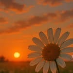 hiba faris �� - @_hibafaris - Instagram