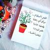 Hiba Hashim - @hiba.hashim4 - TikTok
