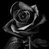 Hiba Hashim - @user005297585 - TikTok
