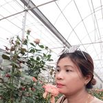 Hien Son - @hien.son.7505468 - Instagram
