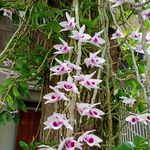 Son Hien - @hien_son_507 - Instagram