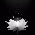 Hiep Pham - Facebook