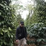 Hiep Pham - @hiep_pham_ - Instagram