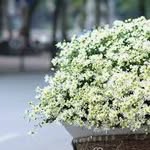 Hiep Phan - @hiepphan14121 - Instagram