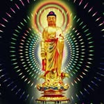 Hoàng Hiếu Tử - @hieutuhoang - Instagram