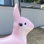Hila Ozer - @hilaoz - Instagram