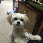 Hilary Arnold - @hilarya73 - Instagram
